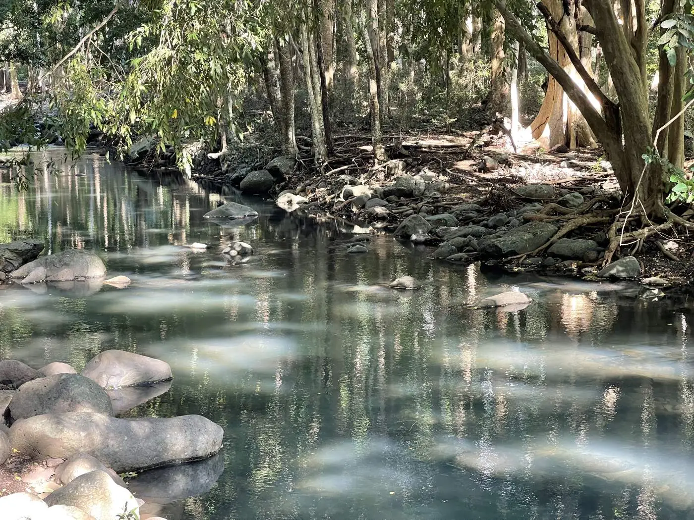 Still, clear river reflecting the trees